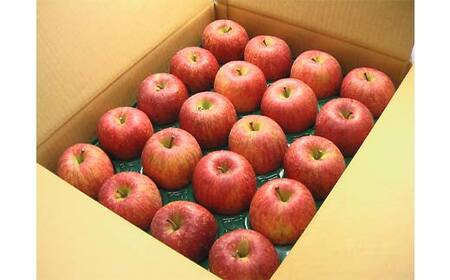 《2026年発送先行予約》山形県産サンふじりんご 秀 約5kg 林檎 リンゴ フルーツ 果物 くだもの 山形県 中山町 F4A-0912