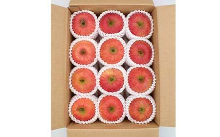 《2026年発送先行予約》山形県産サンふじりんご 秀 約3kg 林檎 リンゴ フルーツ 果物 くだもの 山形県 中山町 F4A-0913