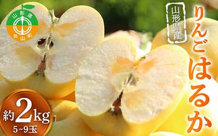 《2026年発送先行予約》山形県産りんご はるか 約2kg 5～9玉 黄色 林檎 リンゴ 果物 くだもの フルーツ 山形県産 F4A-0914