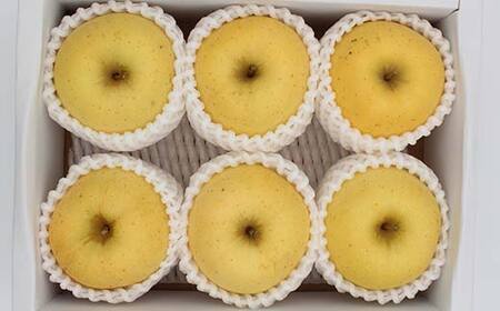 《2026年発送先行予約》山形県産りんご はるか 約2kg 5～9玉 黄色 林檎 リンゴ 果物 くだもの フルーツ 山形県産 F4A-0914