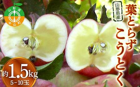 《2026年発送先行予約》山形県産りんご 葉とらずこうとく 約1.5kg 5～10玉 林檎 リンゴ 果物 くだもの フルーツ 山形県産 F4A-0915