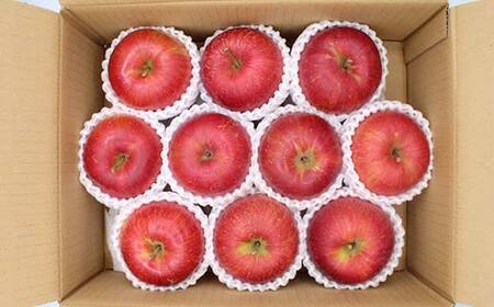 《2026年発送先行予約》山形県産りんご シナノスイート 約3kg 6～11玉 林檎 リンゴ 果物 くだもの フルーツ 山形県産 F4A-0916