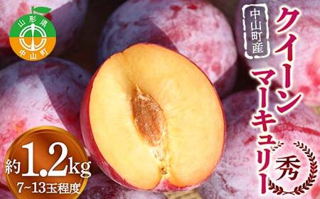 《2026年発送先行予約》中山町産クイーンマーキュリー 約1.2kg 7～13玉程度 秀 桃 もも フルーツ すもも スモモ 山形県産 F4A-0917