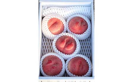 《2026年発送先行予約》山形県産 完熟白桃おどろき 約1.5kg 秀 桃 もも フルーツ果物 くだもの 山形県 中山町 F4A-0920