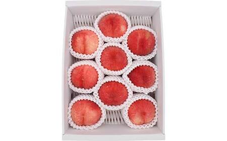 《2026年発送先行予約》山形県産 完熟白桃おどろき 約3kg 秀 桃 もも フルーツ果物 くだもの 山形県 中山町 F4A-0921