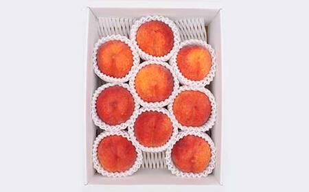 山形県産 希少黄桃ワッサー 約2kg 5～9玉 秀 桃 もも フルーツ 黄色 F4A-0922