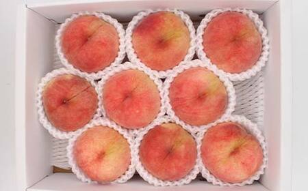 山形県産 訳あり白桃 約2.8kg 8~13玉 桃 もも フルーツ 家庭用 F4A-0924