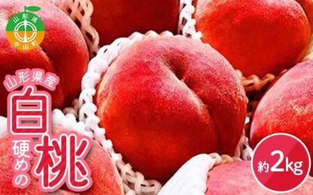 《2026年産 先行受付》山形県産 硬めの白桃 約2kg 品種おまかせ 果物 くだもの 桃 もも フルーツ 白桃 山形県産 F4A-0971