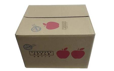 令和8年産 山形県産 サンふじりんご＜訳あり＞ 約5kg 13玉～25玉 数量限定 林檎 リンゴ フルーツ 果物 くだもの 家庭用 F4A-1004