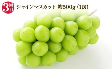 2026年先行受付 【定期便3回】人気フルーツベスト3 さくらんぼ 桃 シャインマスカット 山形県 中山町 F4A-1018