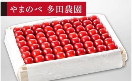 《2026年先行予約》【特選紅秀峰】桐箱詰 約1,100g【やまのべ多田耕太郎のさくらんぼ 多田農園】期間限定 数量限定 F4A-0009