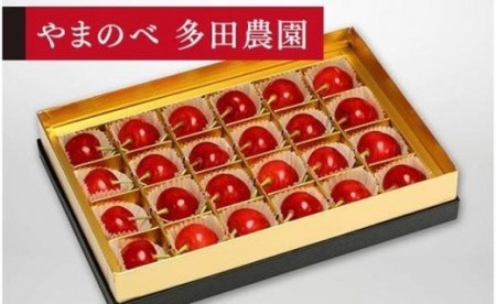 《2026年先行予約》【珠玉の佐藤錦】みやび箱 24粒【やまのべ多田耕太郎のさくらんぼ 多田農園】期間限定 数量限定 F4A-0037