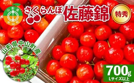 《2025年先行予約》山形県中山町産さくらんぼ《佐藤錦特秀品》 700g Lサイズ以上 数量限定 山形県産 サクランボ フルーツ 果物 F4A-0106