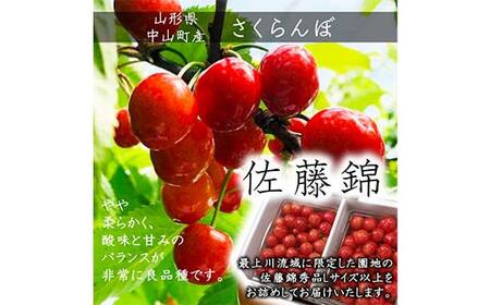 《2025年先行予約》山形県中山町産さくらんぼ《佐藤錦特秀品》 700g Lサイズ以上 数量限定 山形県産 サクランボ フルーツ 果物 F4A-0106