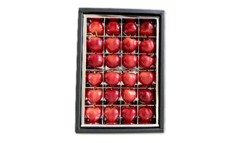 《2026年産先行受付》山形県産さくらんぼ【やまがた紅王 特秀品】厳選24粒 2L/3Lサイズ混合 サクランボ 果物 くだもの フルーツ 季節限定 F4A-0378