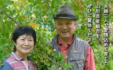 農家直送銀杏むき実2L 500g（100g×5）山形県産 ぎんなん 《いとう農園