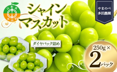 シャインマスカット ダイヤパック 250g×2パック やまのべ多田農園のぶどう 山形県産 フルーツ 果物 くだもの 葡萄 ブドウ 贅沢 F4A-0346