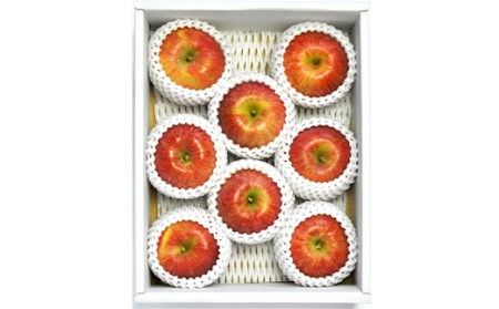 《2026年先行予約》山形県産 高徳 りんご 約2kg（6～12玉）2026年10月下旬頃から順次発送 くだもの 果物 フルーツ 秋果実 リンゴ 林檎 小玉 蜜 ギフト 化粧箱 産地直送 F4A-0348