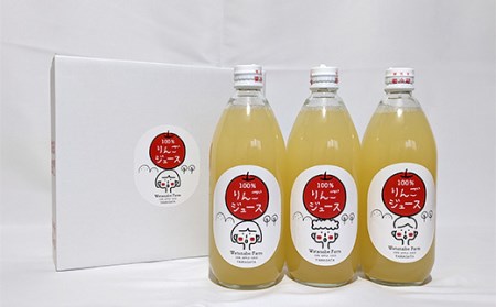 山形県中山町産 サンふじりんご100%ジュース 600ml×3本 令和6年産のりんご使用 2024年12月上旬より発送開始 渡辺ファーム F4A-0360