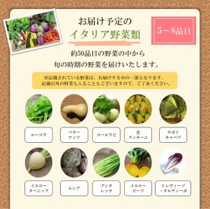 かほくイタリア野菜 旬のおまかせBOX（5～8種類）