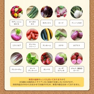 かほくイタリア野菜 旬のおまかせBOX（5～8種類）