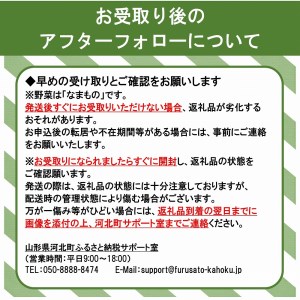 かほくイタリア野菜 旬のおまかせBOX（8～10種類）