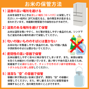 【令和6年産米】※2025年1月下旬スタート※ 特別栽培米 つや姫60kg（20kg×3ヶ月）定期便 山形県産 【米COMEかほく協同組合】　（つやひめ お米 白米 ブランド米 精米 米どころ 大人気 お取り寄せ グルメ 弁当 おにぎり オススメ 山形県 河北町）