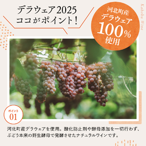 【河北町産ぶどう100%使用・微発泡デラウェアワイン】Delaware 2025(750ml×1本)【かほくらし社】 ka019-012j001-2025