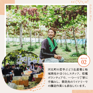 【河北町産ぶどう100%使用・微発泡デラウェアワイン】Delaware 2025(750ml×1本)【かほくらし社】 ka019-012j001-2025