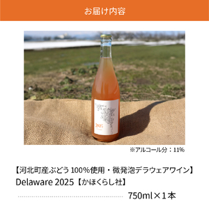 【河北町産ぶどう100%使用・微発泡デラウェアワイン】Delaware 2025(750ml×1本)【かほくらし社】 ka019-012j001-2025