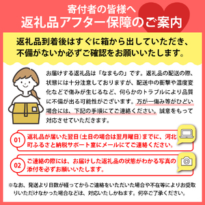 【令和7年産】川中島白桃 約5kg（13玉～16玉）山形県河北町産 【河北町観光物産協会】