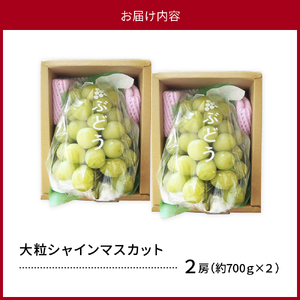 令和8年産【はじまり農園 うの】大粒 シャインマスカット２房（約700g×2房） 山形県河北町産 【河北町観光物産協会】 ka002-004-r8