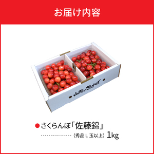 【令和8年産】さくらんぼ 佐藤錦1kg(500g×2パック) L玉以上 ギフト箱入 秀品 山形県産【山形eLab】 フルーツ 人気 贈答 ふるさと納税 河北町 2026年産 ka074-034