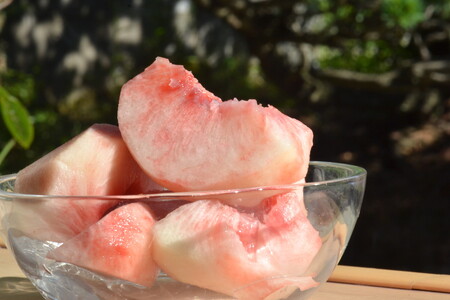 【令和8年産】白桃 品種おまかせ 3kg (8～12玉前後) ギフト箱入 秀品 山形県産 【山形eLab】ka074-008-r8