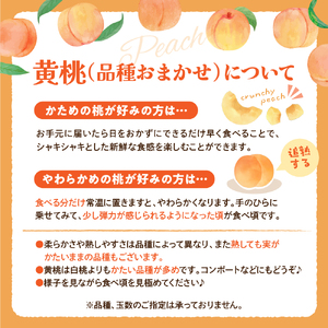 【令和8年産】黄桃 品種おまかせ 3kg (8~12玉前後) ギフト箱入 秀品 山形県産 【山形eLab】ka074-009-r8