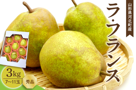 【令和7年産】洋梨 ラフランス 3kg(7～11玉前後) ギフト箱入り 山形県河北町産【山形eLab】ka074-011