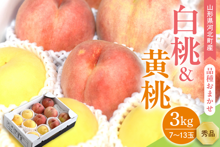 【令和8年産】白桃&黄桃 3kg(7～13玉前後) ギフト用 品種おまかせ 山形県河北町産【山形eLab】ka074-017-r8