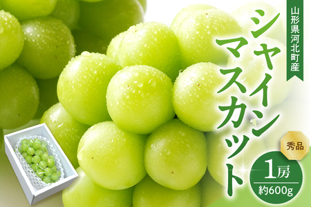 【令和8年産】 ぶどう シャインマスカット 1房入り（約600g前後） 秀品 山形県河北町産 【山形eLab】 ka074-022-r8
