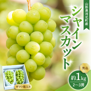 【令和8年産】 ぶどう シャインマスカット 2～3房 約1kg ギフト箱入り 秀品 山形県河北町産 【山形eLab】 ka074-025-r8