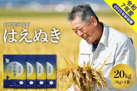 【令和7年産米】2026年3月下旬発送 はえぬき20kg（5kg×4袋） 山形県産 【米comeかほく協同組合】