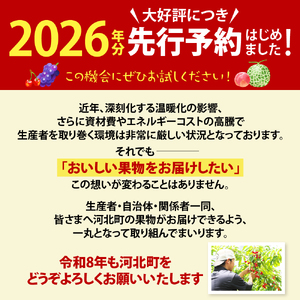 ※2026年発送※【令和8年産】山形県産 8種類 旬のフルーツ定期便（計8回） さくらんぼ ぶどう 桃 メロン りんご ラ・フランス 果物 お取り寄せ お楽しみ 食べ比べ ka008-100e008-r8