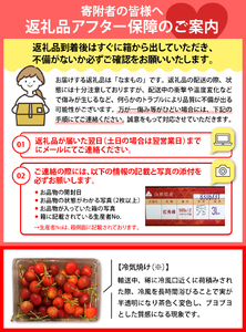 ※2026年発送※【令和8年産】山形県産 8種類 旬のフルーツ定期便（計8回） さくらんぼ ぶどう 桃 メロン りんご ラ・フランス 果物 お取り寄せ お楽しみ 食べ比べ ka008-100e008-r8