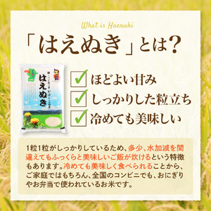 【令和7年産米】※2026年5月上旬開始※ はえぬき15kg（5kg×3ヶ月）定期便 山形県産 【JAさがえ西村山】ka008-004d-r7-05071