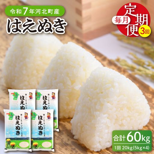 【令和7年産米】※2026年6月上旬開始※ はえぬき60kg（20kg×3ヶ月）定期便 山形県産 【JAさがえ西村山】ka008-008d-r7-06081