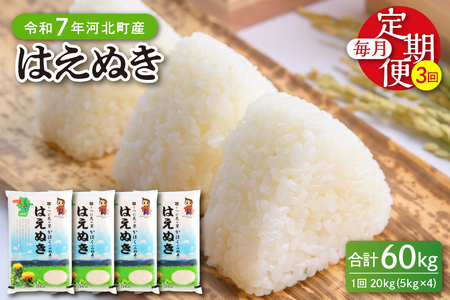 【令和7年産米】※2026年6月中旬開始※ はえぬき60kg（20kg×3ヶ月）定期便 山形県産 【JAさがえ西村山】ka008-008d-r7-06082