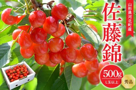 【令和8年産】さくらんぼ 佐藤錦 500g L玉以上 ギフト箱入 秀品 山形県産【山形eLab】フルーツ 人気 贈答 ふるさと納税 河北町 2026年産 ka074-032