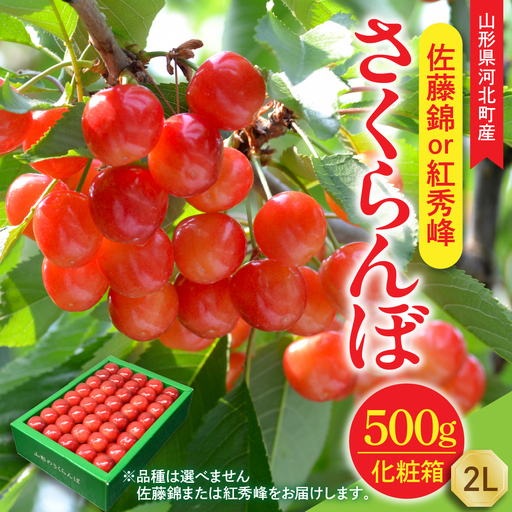 【令和8年産】さくらんぼ 佐藤錦or紅秀峰 500g 2L玉 手詰め 特秀品 化粧箱入 山形県河北町産 【山形eLab