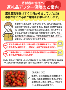 【令和8年産】おまかせさくらんぼ「佐藤錦or紅秀峰」秀L以上 360g (180gフードパック×2パック)【JAさがえ西村山】