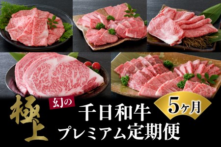 【数量限定】★肉の至宝★ 幻の山形牛【千日和牛】旨味とろける極上和牛5ヶ月定期便　（牛肉 千日和牛 国産 山形県産 特選 すき焼 焼き肉 サーロイン ステーキ 上肩ロース 盛り合わせ お取り寄せ グルメ 冷凍 送料無料）