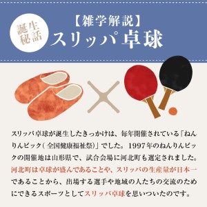 スリッパ卓球１組（シングルス用）赤色・緑色セット　（選べる カラー パターン 全 ３ 種 ラケット用 スリッパ ２個 面白い 部屋 インテリア 壁掛け 目立つ 河北町 【タカナシスリッパ】）